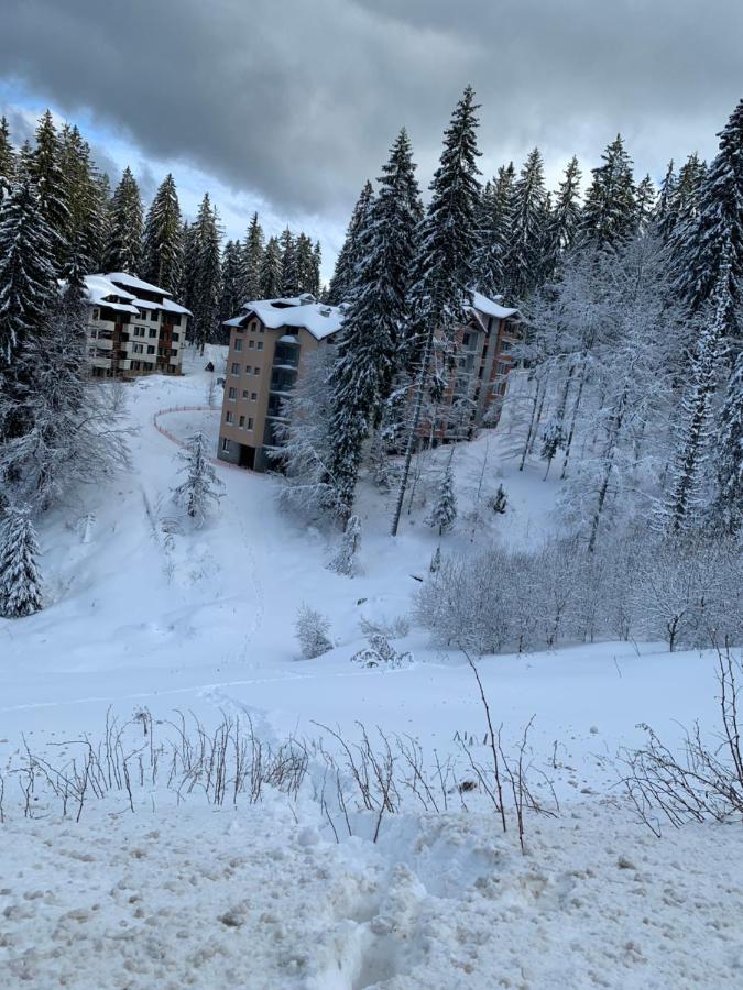 Evrika Home 21 Pamporovo Esterno foto